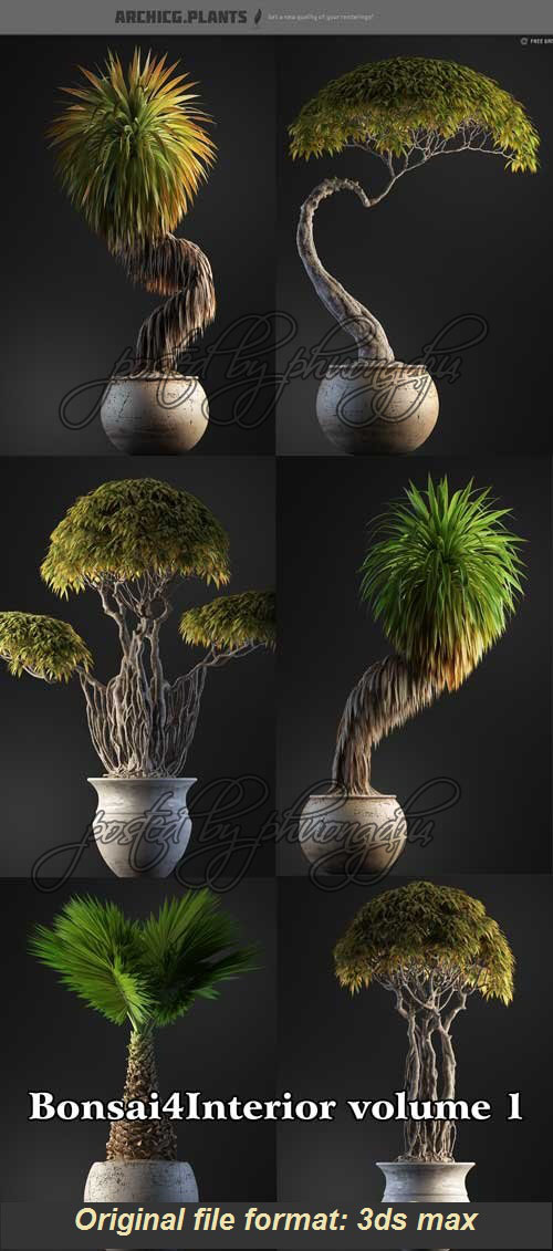 ArchiCG Plants : Bonsai4Interior Vol.1