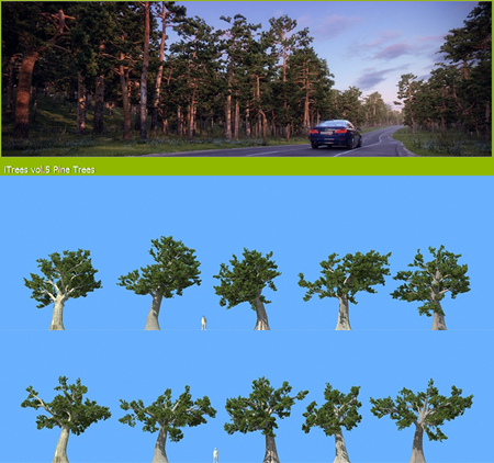 R&D Group – iTrees vol.5 Pine Trees