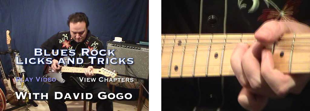 Learn Roots Music - Blues Rock Licks and Tricks - David Gogo - DVD (2008)