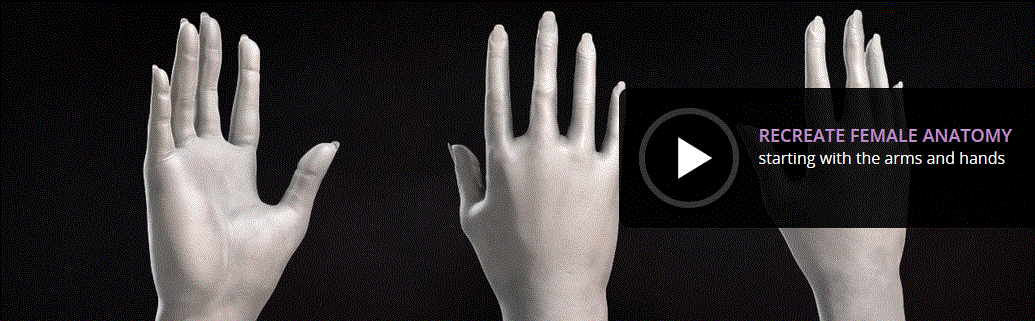 Sculpting Female Arms and Hands in ZBrush