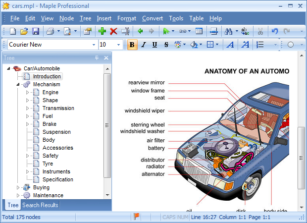 Maple Professional 8.03