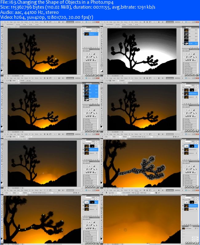 Peachpit Press - Photography Techniques with Adobe Photoshop CS5 Learn by Video