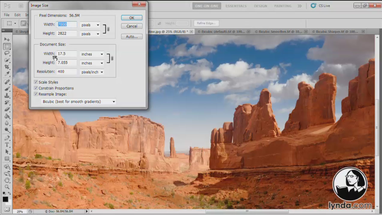 Photoshop CS5 One-on-One: Fundamentals (Repost)