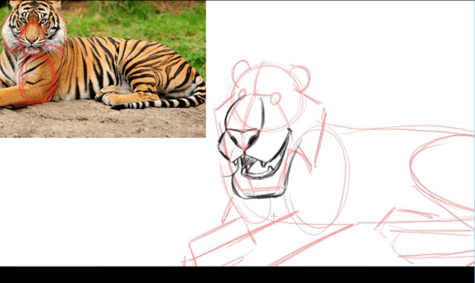 Sketching Appealing Animals in Photoshop