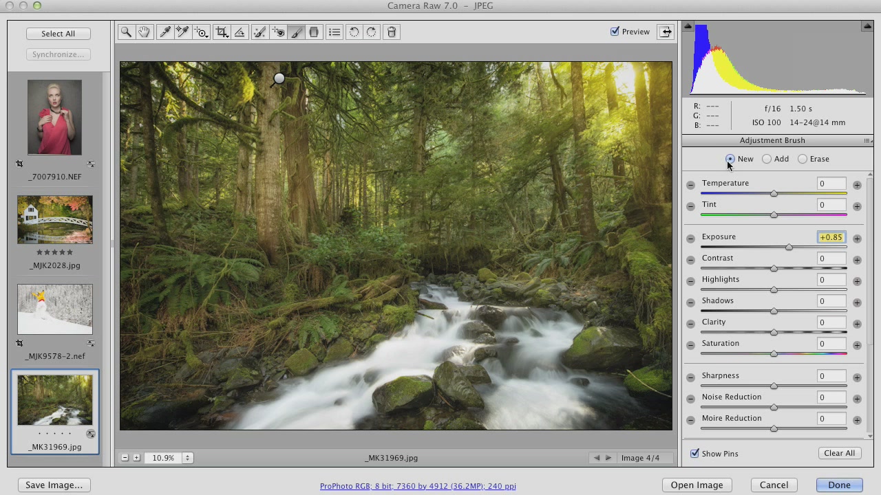 Photoshop CS6: Camera Raw (2013)