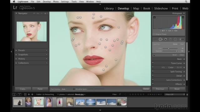 Lightroom 5 Essentials 04 Develop Module Advanced Techniques (2013) [repost]