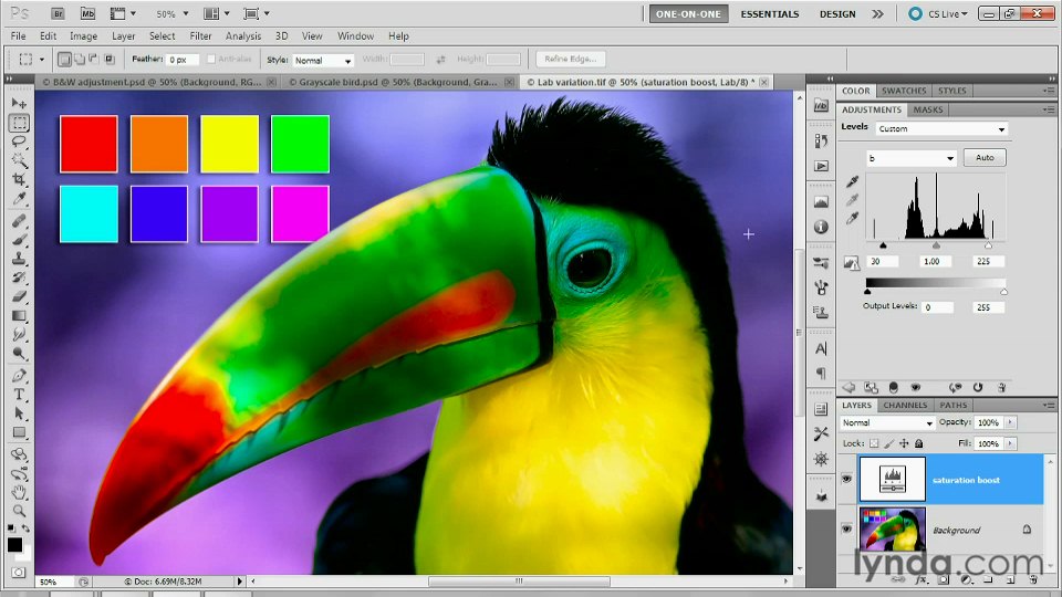 Photoshop Masking and Compositing: Fundamentals