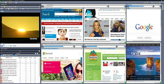 Vole Internet Expedition 3.12.40308 Professional Edition