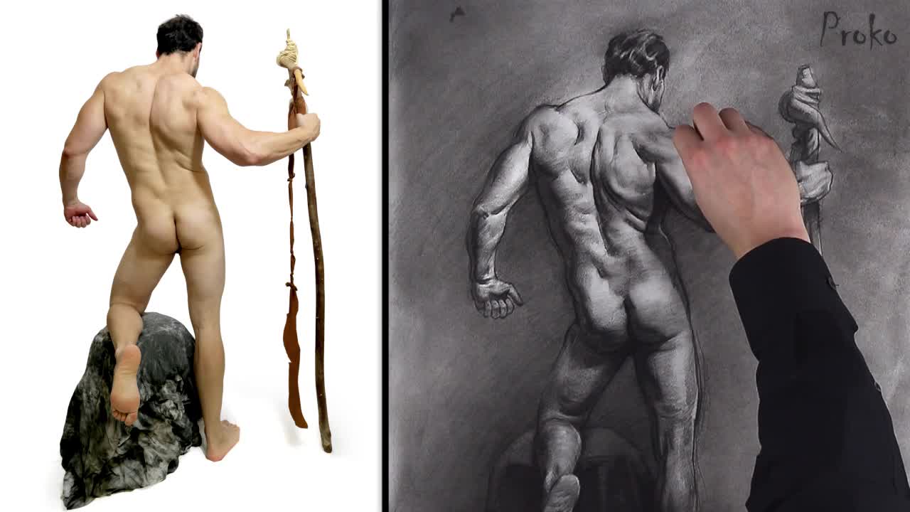 Proko - Figure Drawing Fundamentals Course