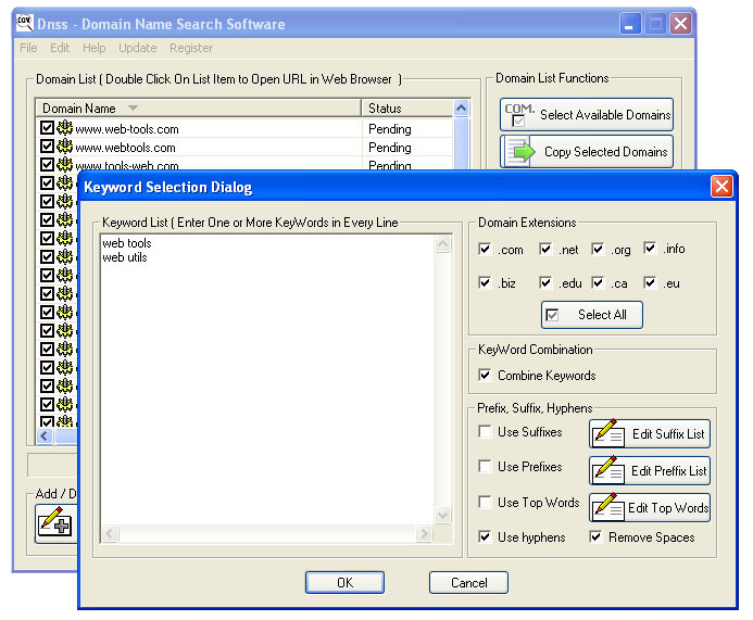 Nsasoft DNSS Domain Name Search Software 2.1.8