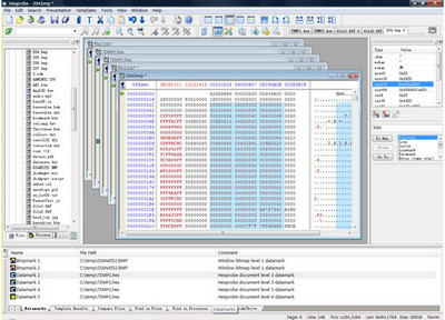 Hexprobe Hex Editor v4.31 