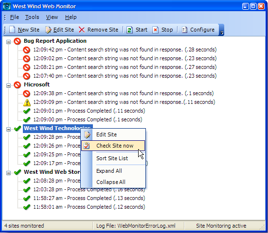 West Wind Web Monitor 3.44