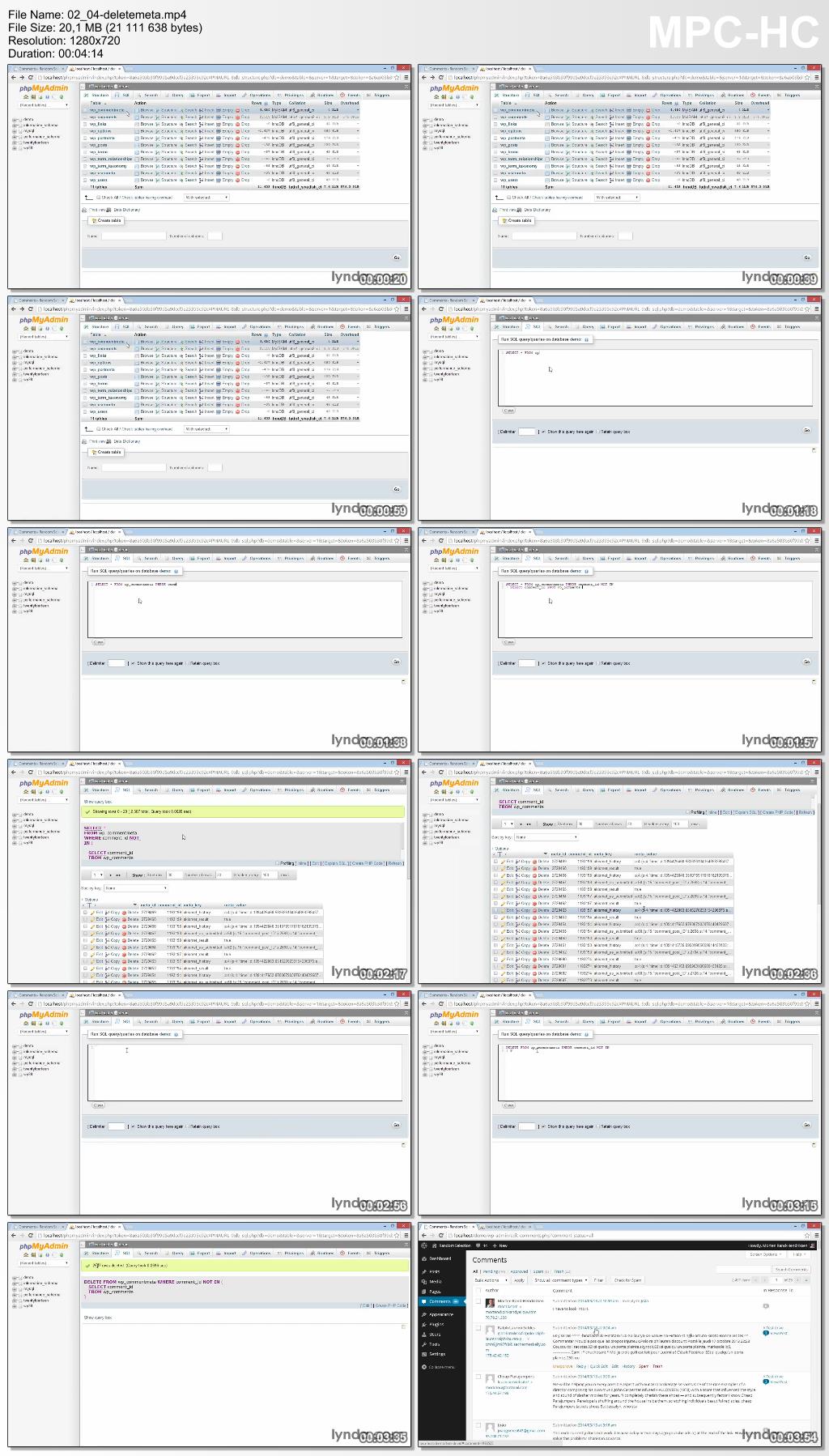 Lynda - WordPress Developer Tips: Deleting Spam Comments in the Database