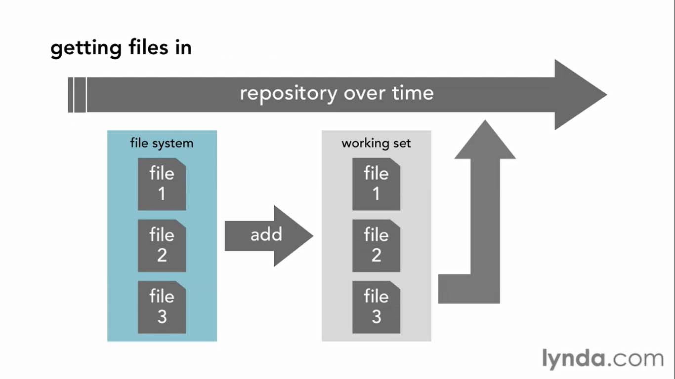 Fundamentals of Software Version Control