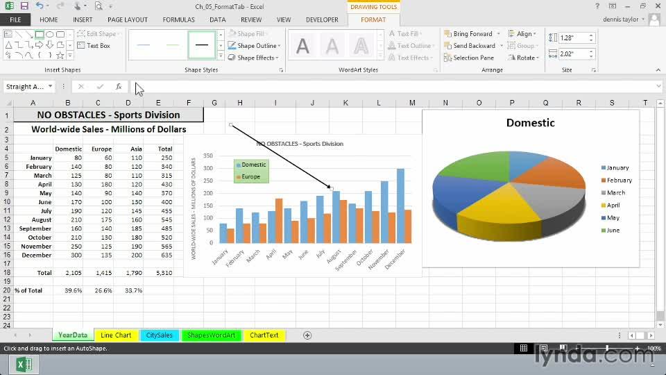 Excel 2013: Charts in Depth