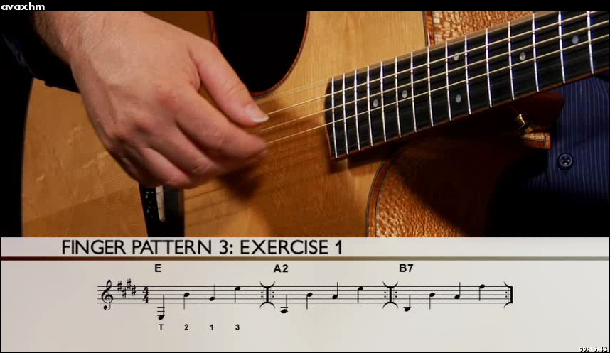 Steve Krenz - Learn and Master Fingerstyle Guitar