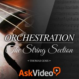 Ask Video Orchestration 101: The String Section (2014)