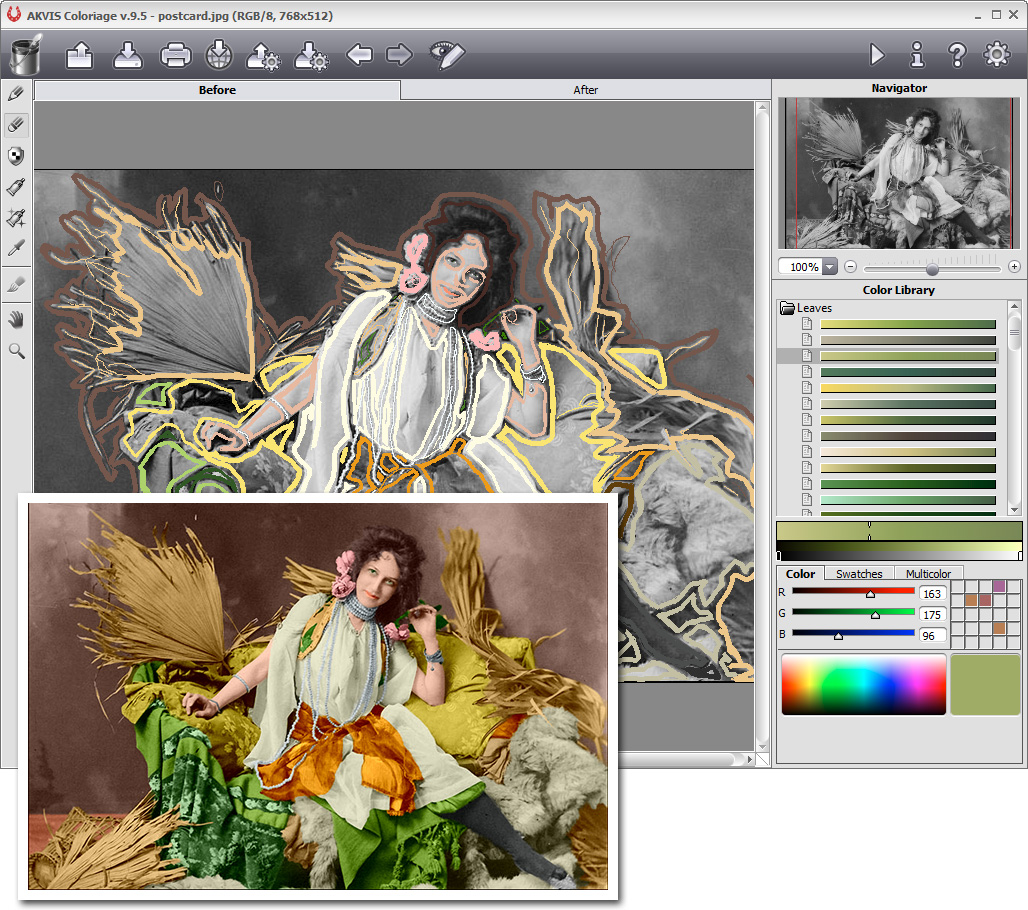 AKVIS Coloriage 9.5.1062.10402