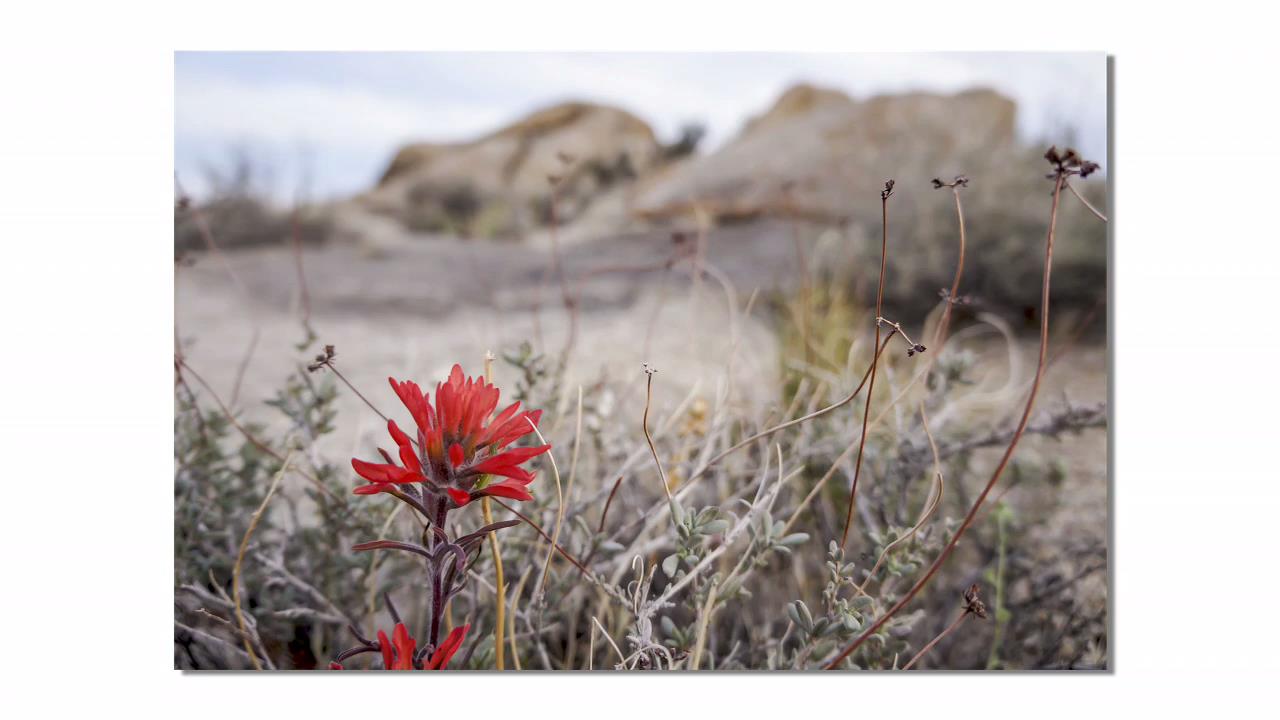 Landscape Photography From Snapshots to Great Shots