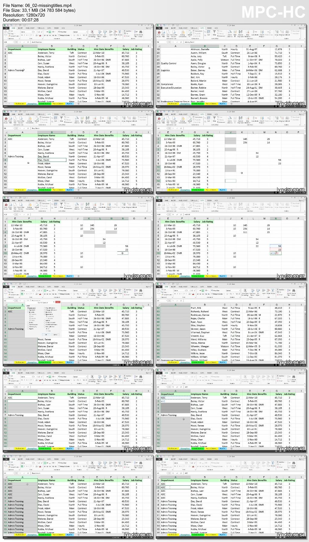 Lynda - Cleaning Up Your Excel 2013 