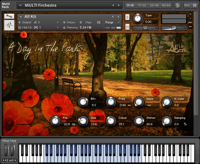 Atom Hub A Day In The Park KONTAKT