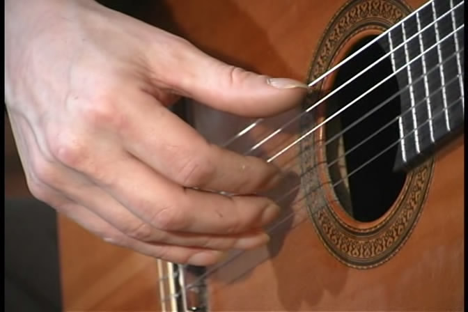 Jamie Andreas - The Principles of Correct Practice for Guitar