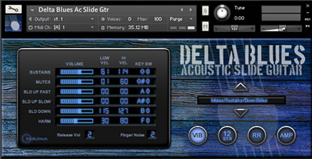 Indiginus Delta Blues Acoustic Slide Guitar KONTAKT