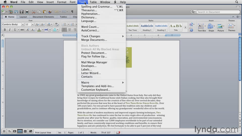 Word for Mac 2011 Essential Training [repost]