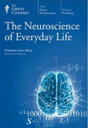 Neuroscience of Everyday Life