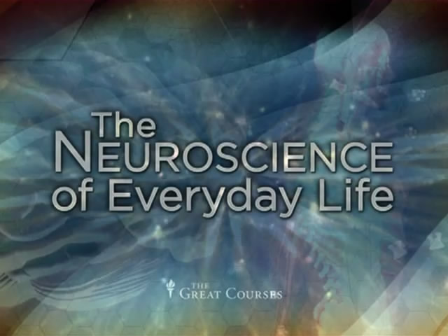 Neuroscience of Everyday Life