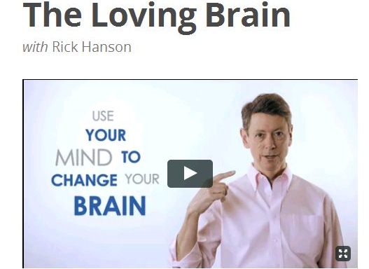 The Loving Brain