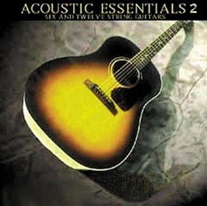 Bigga Giggas Accoustic Essentials Vol.2 KONTAKT screenshot