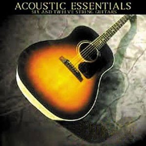 Bigga Giggas Accoustic Essentials Vol.1 KONTAKT screenshot