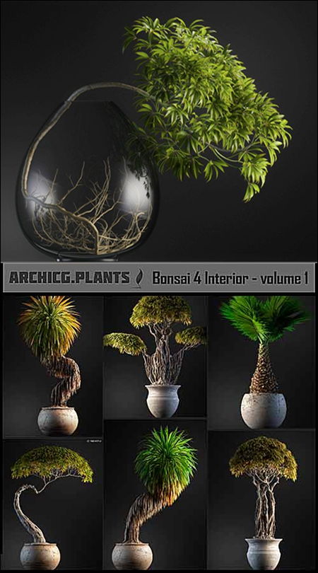 Bonsai4Interior volume 1​