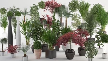 VIZPARK Interior Plants for 3ds Max