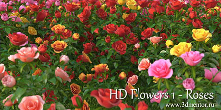 3DMentor – HD Flowers vol. 1: Roses