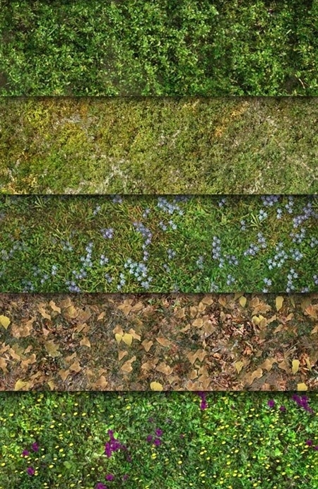 Ground and Grass texture