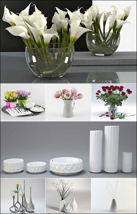 Vase and Flower Collection