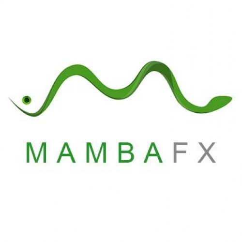 mambafx-500x500