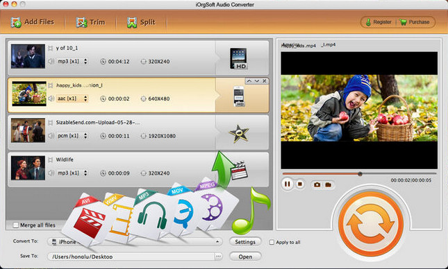 iOrgsoft Audio Converter 5.3.1