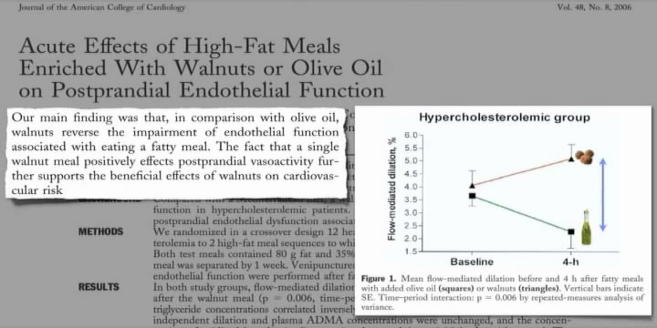 Latest in Clinical Nutrition - Volume 18