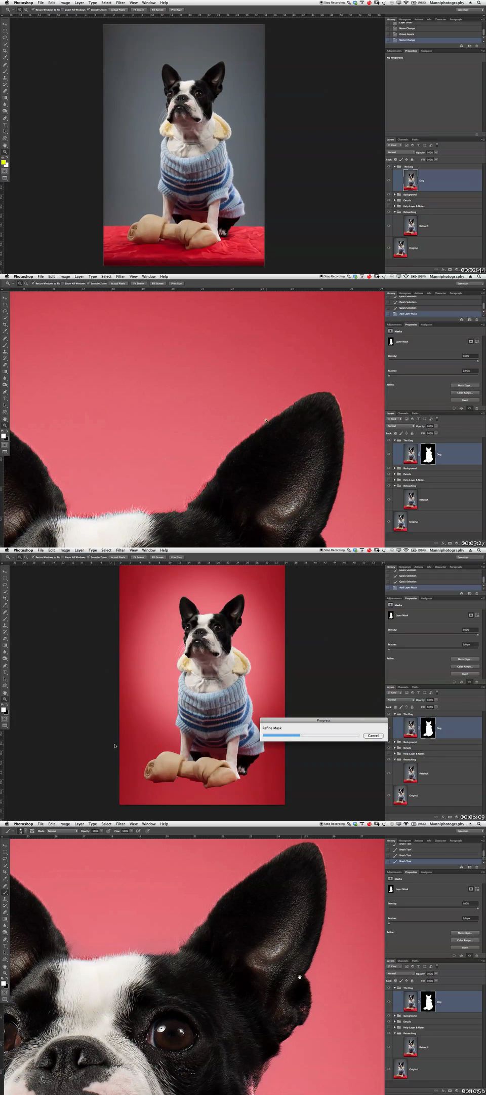 SkillFeed - Photoshop Retouching - The Dog