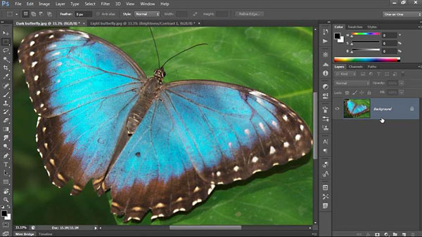 Lynda - Photoshop CC One-on-One: Fundamentals (Updated Sep 17, 2014)