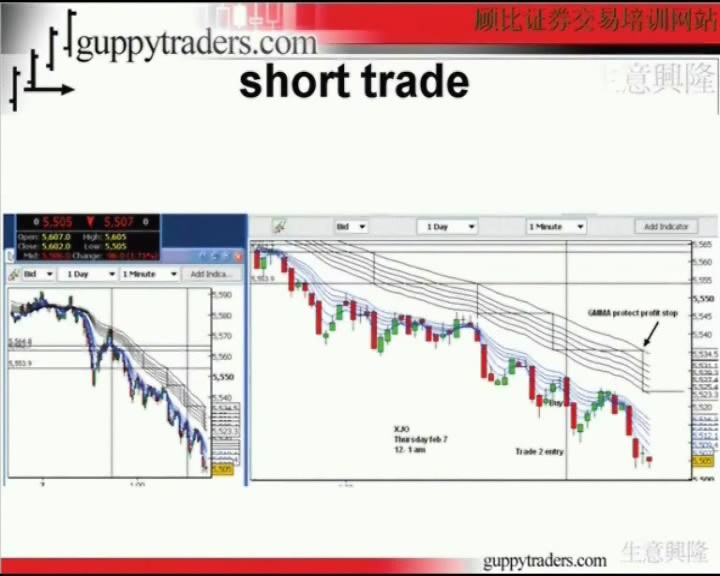 Daryl Guppy - GMMA Trend Volatility Management