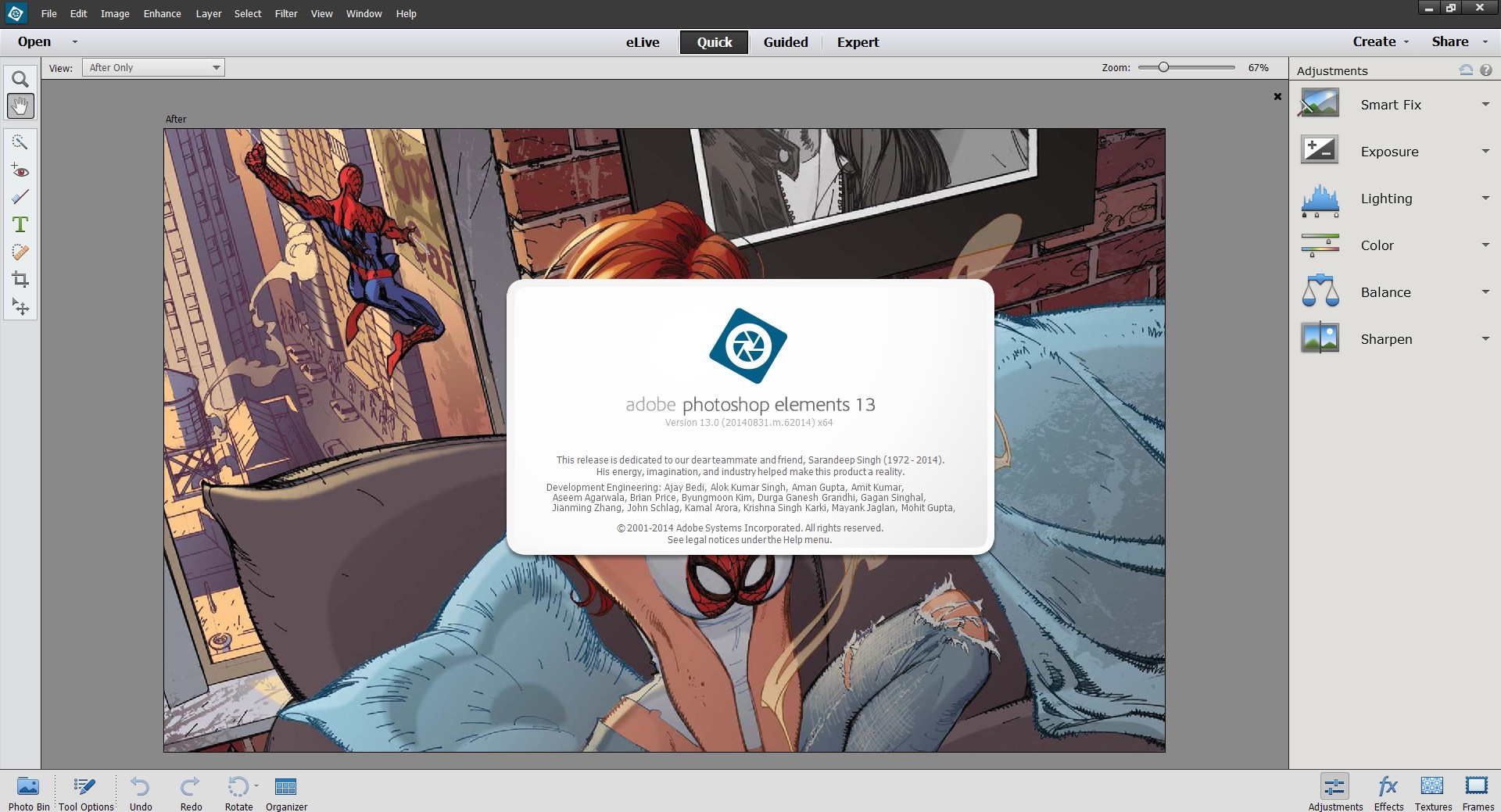 Adobe Photoshop Elements 13.0