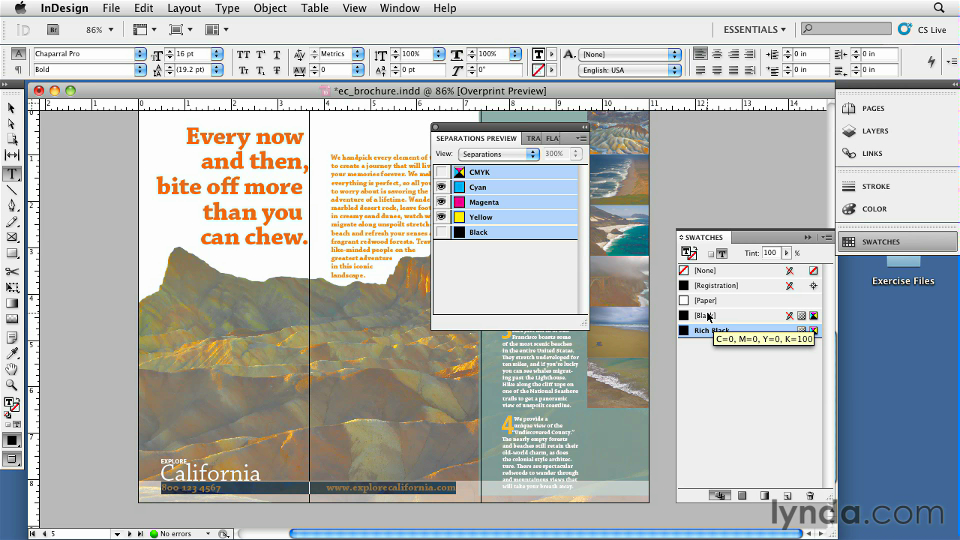 InDesign CS5: Print Production Guidelines