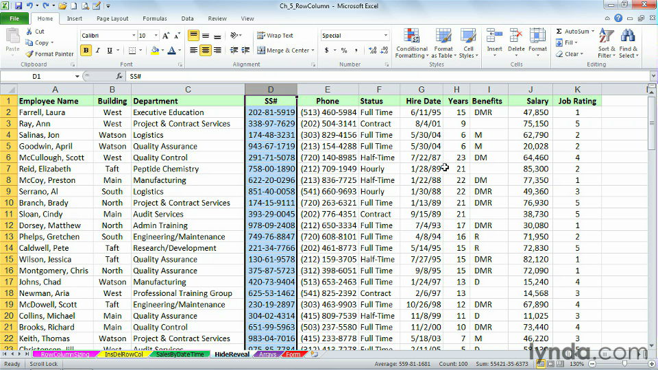 Excel 2010: Advanced Formatting Techniques