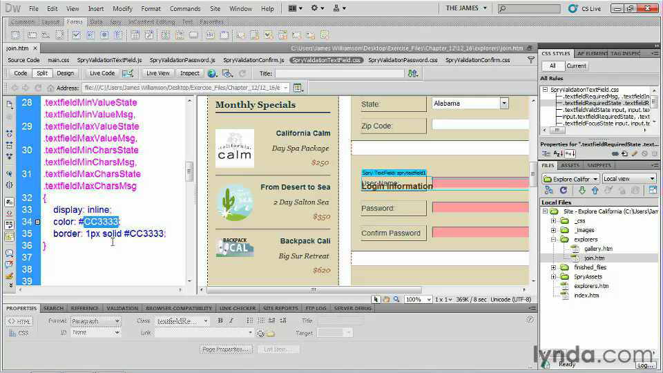 Dreamweaver CS5 Essential Training