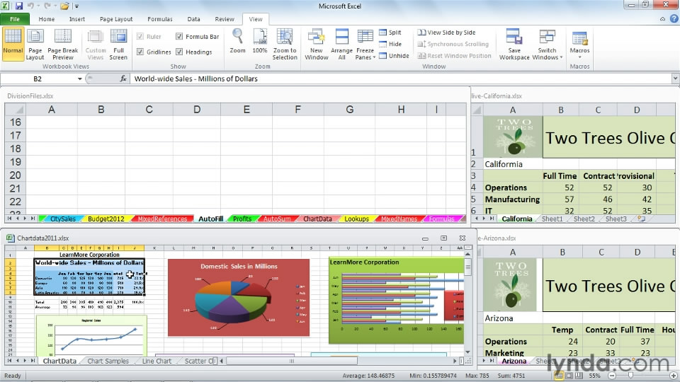 Excel 2010: Managing Multiple Worksheets and Workbooks