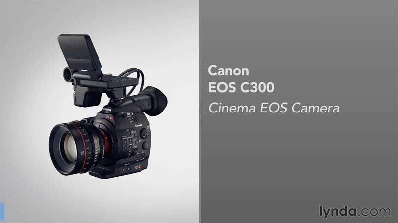 Video Gear Weekly - Is the Canon C300 Right for Me? (Oct 31, 2014)